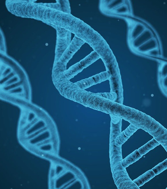 リスクに応じた再生医療等安全確保法の手続き